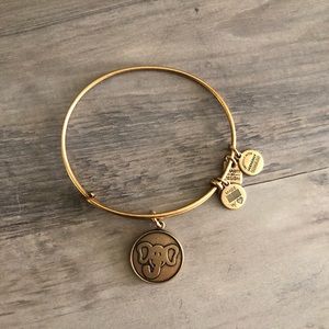 Alex and Ani energy bracelet